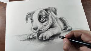 Start with an anchor, then draw a fin at the top of it. How To Draw A Dog Step By Step Easy For Beginners Realistic Drawing Youtube