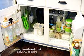 purge day 30: under the kitchen sink