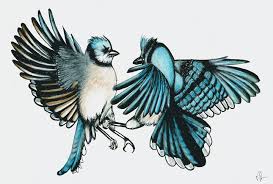 Bullfighting traces its roots to prehistoric bull worship and sacrifice in mesopotamia and the mediterranean region. Fighting Blue Jays Natasha Lovell Art Drawings Illustration Animals Birds Fish Birds Bluejays Artpal