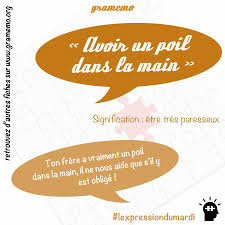 Avoir Un Poil Dans La Main Lexpressiondumardi 30 52 Gramemo Expressions Francaises French Expressions Expressions Idiomatiques