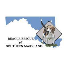 Rescue angels of southern maryland, inc. Pets In Need In Southern Maryland Home Facebook