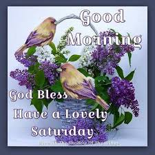 Good Morning God Bless Have A Lovely Saturday Good Morning Saturday Saturday Happy Saturday Pictures Saturday Morning Images Good Morning Happy Saturday