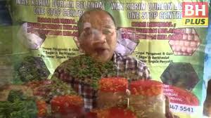 2 pupuk yang digunakan untuk merangsang pembuahan. Bhplus Durian Belanda Punca Guru Bersara Awal Youtube