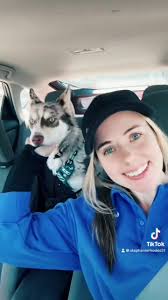 he’s not really into my serenade atm… #husky #dogsoftiktok #auskymom #kaito