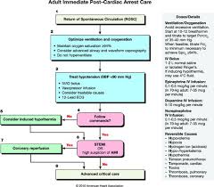 Detecting acute cardiac ischemia in the emergency department: Part 9 Post Cardiac Arrest Care Circulation