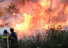 Check spelling or type a new query. Pyrkagies Twra Bhma Or8odo3ias