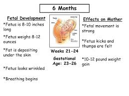 signs of pregnancy and fetal development ppt download