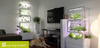 Set up your hydroponic system. Supragarden Green Wall Vertical Hydroponic Garden System To Home
