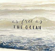 These ocean love quotes encourage you to raise a voice on marine pollution as we see we see plastic pollution uninhabited islands and even in the middle of the ocean. Pin By Costache Ioana On Quotes To Remember Beach Quotes Nature Quotes Sea Quotes
