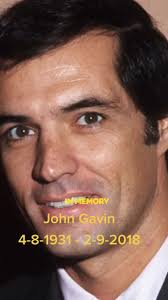 John Gavin: Actor and Ambassador of Hollywood