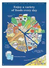 Dietary Guidelines Food Plates Not Pie Charts Or Pizza Rounds Around The Globe Food Groups Chart Healthy Food Charts