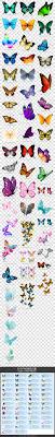 花蝴蝶美丽蝴蝶flower butterfly beautiful butterfly beautiful butterflies flowers butterfly