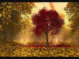 45 112 просмотров 45 тыс. Performance Autumn Leaves By Matt Monro Secondhandsongs