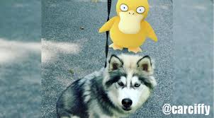 Smeargle, known as the painter pokémon, is a cartoonish bipedal doggy based creature with the ability to paint beautiful works of art with its tail. 10 Dogs And 1 Cat Who Helped Their People Catch Pokemon With Pokemongo The Dog People By Rover Com