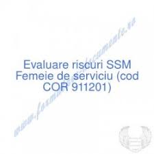 Ele sunt editabile, putand fi adaptate necesitatilor dvs. Femeie De Serviciu Cor