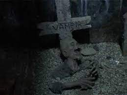 Turist info · preț mic · comunicare directă · rezervări necomisionate. Castelul Groazei De La Bran Youtube