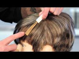 Blend Gray Low Lights Gray Hair Highlights Hair Highlights And Lowlights Global Hair