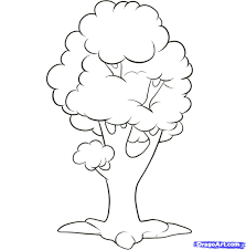 Drawing trees with colored pencils. Drawing Tree Drawing Simple With Color