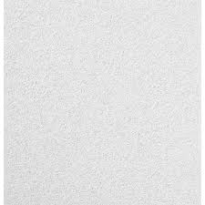 The home depot, inc., commonly known as home depot, is the largest home improvement retailer in the united states, supplying tools, construction products, and services. Usg Cgc Ceilings 2 Ft X 2 Ft Mars Lay In Ceiling Tile Sold By Case Pack Of 12 The Home Depot Canada