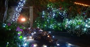 Garden Of Lights At San Diego Botanic Garden Travelmamas Com Garden Of Lights San Diego Botanic Garden Botanical Gardens