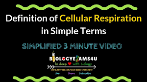 Definition Of Cellular Respiration In Simple Terms Youtube