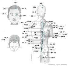 Acupressure Points Chart Acupressure Therapy Acupressure