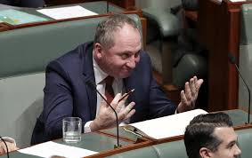 Deputy prime minister barnaby joyce resigns as nationals leader. Who Wants To Punch Barnaby Joyce In The Nose The Standard Warrnambool Vic