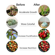 Check spelling or type a new query. Grow Light 1000w Led Hydroponic Plant Growing Led Lights Dublin