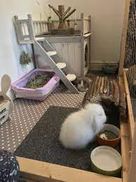 Indoor Bunnies New Home Domashnie Kroliki Kletki Dlya Morskikh Svinok Kletki Dlya Krolikov