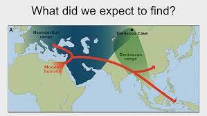 But a new map of archaic ancestry suggests that many bloodlines around the world, particularly of south asian descent, may actually be a bit more denisovan, a mysterious population of hominids that. Video Carta Ancient Dna And Human Evolution Neandertal And Denisovan Genomes And What They Tell Us A Map Of Neandertal Genes In Present Day Humans The Phenotypic Legacy Of Neandertal Interbreeding
