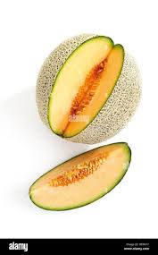 Image result for Cucumis melo