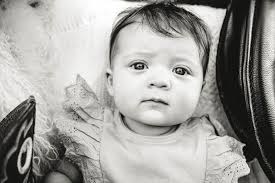 Ellen Boyd Photography