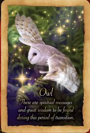 Fortune Reading Cards Owl Animal Spirit Guides Angel Oracle Cards Oracle Cards