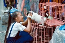 The most excellent gift that you could give to anyone or the gift that you can have for yourself is a pet. 5 Best Pet Shops In Austin