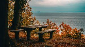 Autumn Wallpapers Hd Desktop Backgrounds Images And Pictures Cute autumn leaves hd wallpapers. autumn wallpapers hd desktop