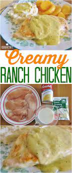 Creamy Ranch Chicken Recipe From The Country Cook Only 4 Ingredients Creamy Ranch Chicken Recipe Ranch Chicken Recipes Recipes