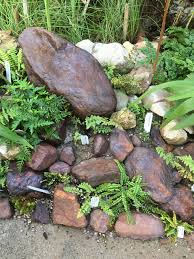 Farne Im Steingarten Summer Projects Garden Crafts