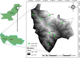 Kode alam, merupakan salah satu fenomena yang sering terdengar akibat togel. Ethnomedicinal Knowledge Of The Rural Communities Of Dhirkot Azad Jammu And Kashmir Pakistan Journal Of Ethnobiology And Ethnomedicine Full Text