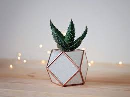 Candles, clocks, pillows, fireplaces, mirrors, rugs 16 Stunning Geometric Planter Designs For The Perfectionist In You