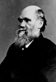 The Complete Photographs of Charles Darwin