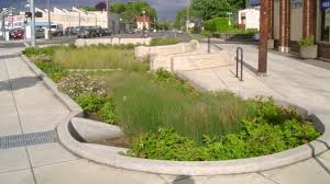 Green Infrastructure Primer With Images Rain Garden Landscape Design Urban Landscape