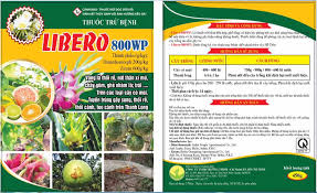 Libero 800WP