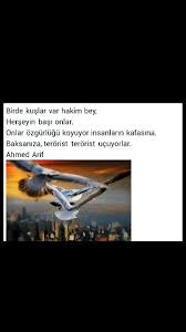 Bir De Kuslar Var Hakim Bey Herseyin Basi Onlar Onlar Ozgurlugu Koyuyor Insanlarin Kafasina Baksaniza Terorist Terorist Ucuyorlar Siir Edebiyat Siir Alintilari