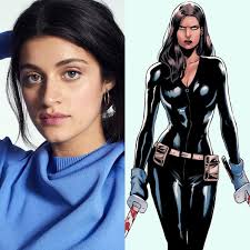 Brave and the Bold DCU Fancast : r/Fancast