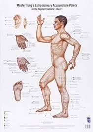 44 Best Master Tungs Points Images Acupuncture