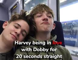 Max and Harvey: Love and Friendship Adventures