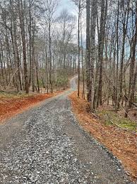 Tbd Pat Irwin Road, Pilot Mountain, NC 27041