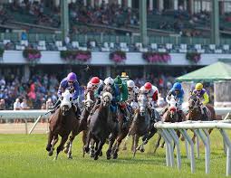 The uruguayan horse el patriota should not be in the list of derby contenders. Home Monmouth Park