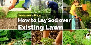 Begin by clearing your lawn from debris, twigs, rubbish, and rock etc. How To Lay Sod Over Existing Lawn Quick Guide 2020 Update