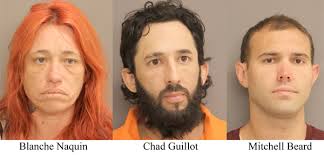 2 plead guilty in bizarre shooting